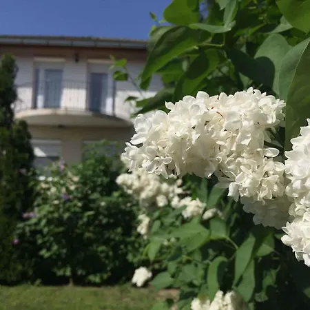 Apartament In 19127 Balatonlelle